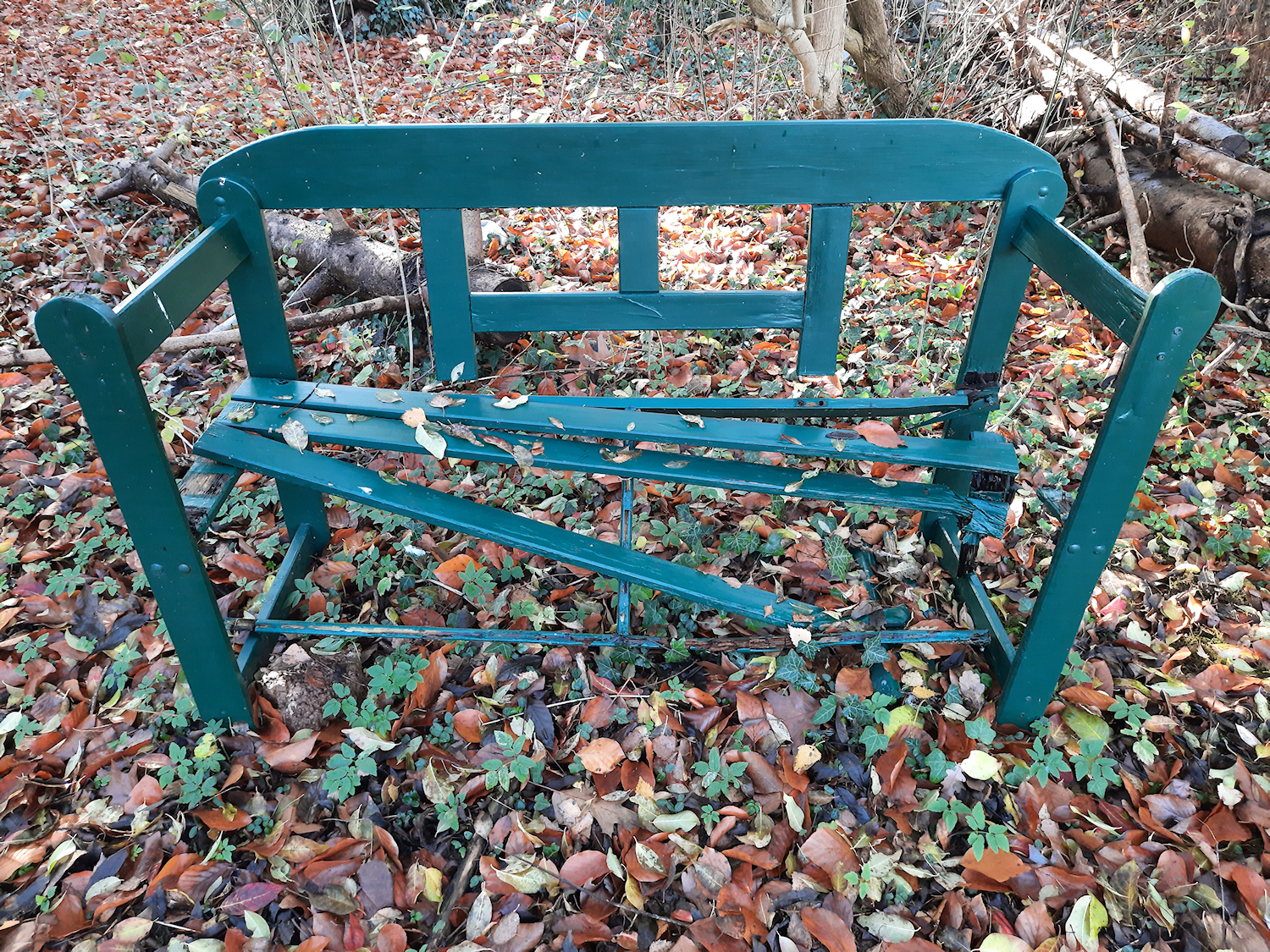 Die grüne Bank Die grüne Bank